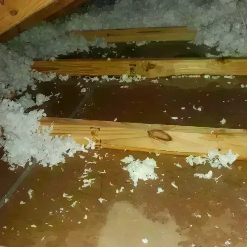 Attic Water Damage in Yale, OK